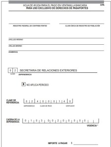 Ficha de pago pasaporte